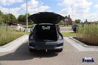 IMG_3662.jpg